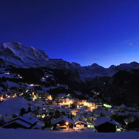 Chaes Gruebi Apt-s By Interhome 아파트 *