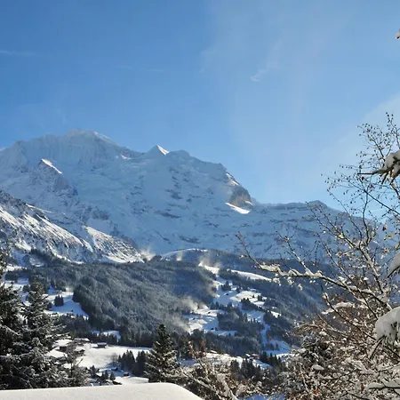 Appartement Chaes Gruebi Apt-s By Interhome Wengen