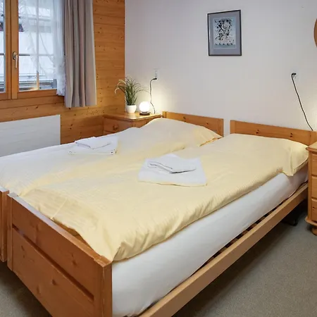 Chaes Gruebi Apt-s By Interhome Wengen