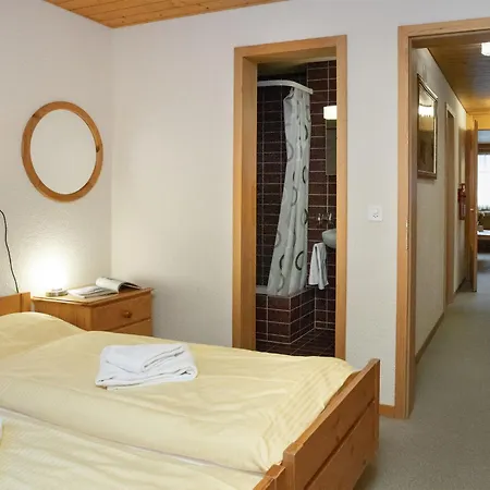 Chaes Gruebi Apt-s By Interhome Wengen