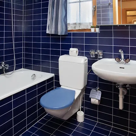 Chaes Gruebi Apt-s By Interhome Wengen