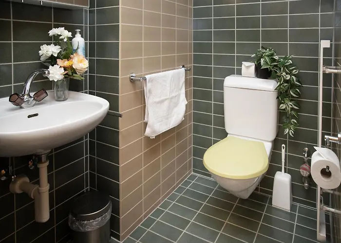 Chaes Gruebi Apt-s By Interhome