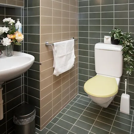 Chaes Gruebi Apt-s By Interhome