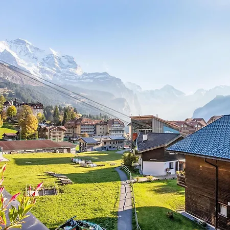 Chaes Gruebi Apt-s By Interhome *